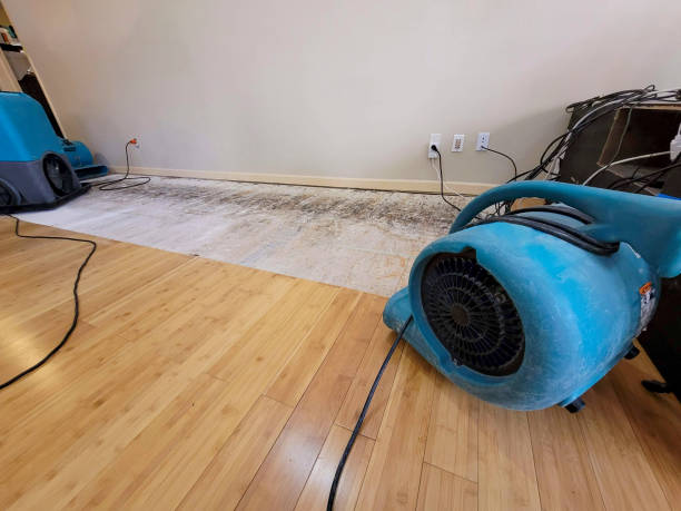 Professional Water Damage Repair technician working in Washington Crossing, PA